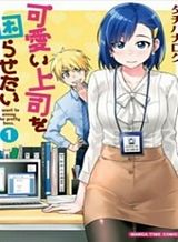 Cinderella Disappeared Bahasa Indonesia